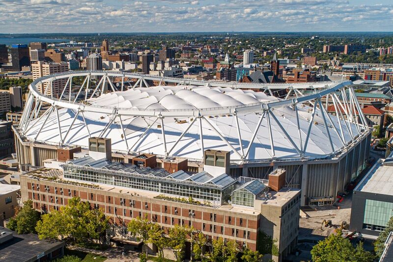 How Creators Can Build Real Connections and Grow Online